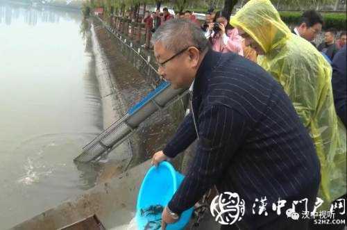 漢臺區(qū)愛心放流，40萬尾魚寶寶漢江“安家”