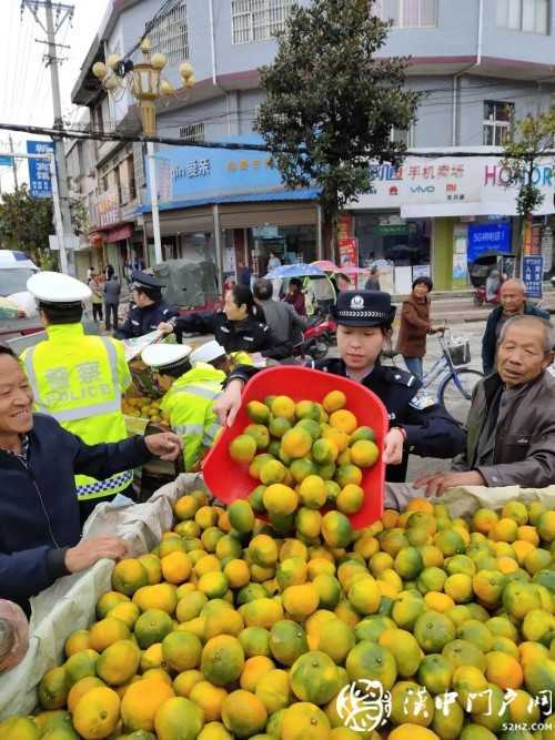 賣桔途中車壞了，一車桔子被撂馬路中央，民警趕忙幫轉移