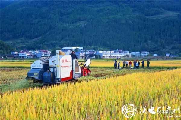 撒花！我市七家企業通過GAP認證，拿到通行全球“護照”