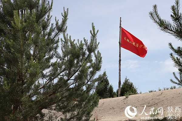 陜西：“綠進(jìn)沙退” 毛烏素千年沙海變綠洲