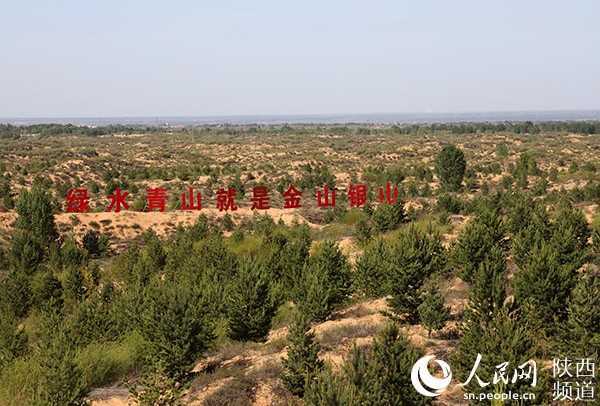 陜西：“綠進(jìn)沙退” 毛烏素千年沙海變綠洲