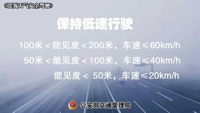 多地有大霧，安全駕駛提示速收好！ | 預警