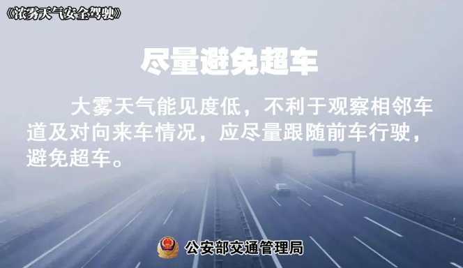 多地有大霧，安全駕駛提示速收好！ | 預警