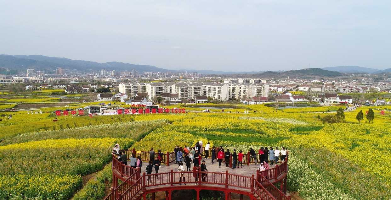 021中國最美油菜花海漢中旅游文化節(jié)在西鄉(xiāng)縣盛大啟動"