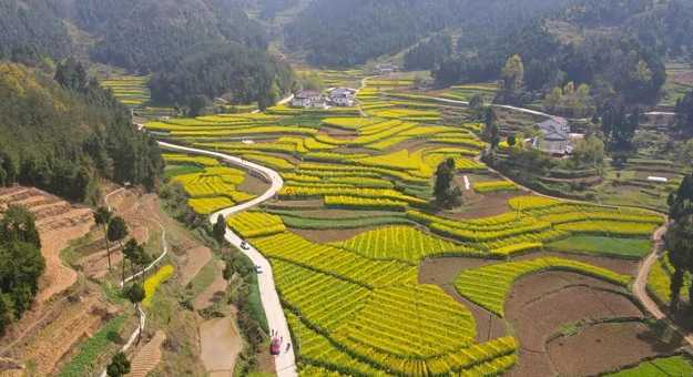 藏不住的梯田風光！漢中媒體采風團走進勉縣新鋪鎮漩水坪村