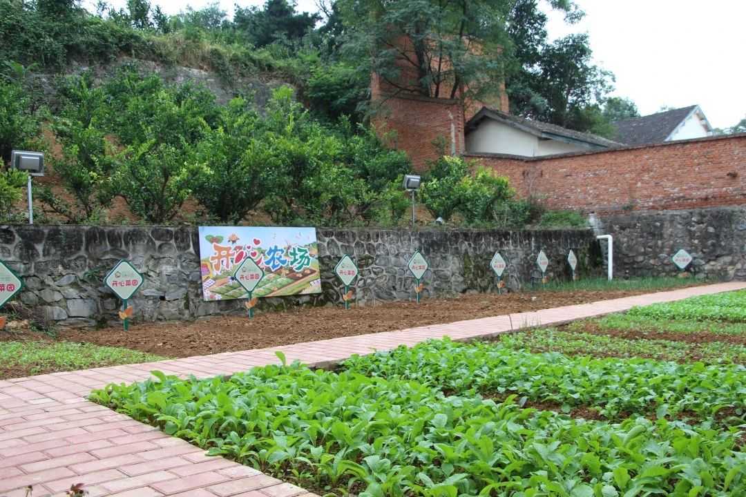 旅居在漢中，我們在行動 ——褒國古鎮旅游推介會圓滿收官