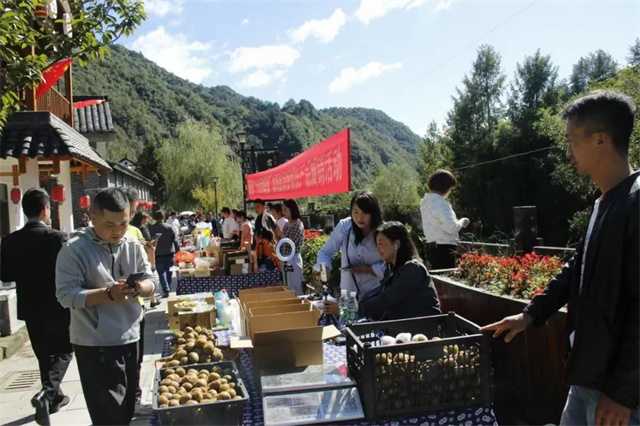 又是一年豐收時，留壩縣第四屆農民豐收節今日正式開幕！