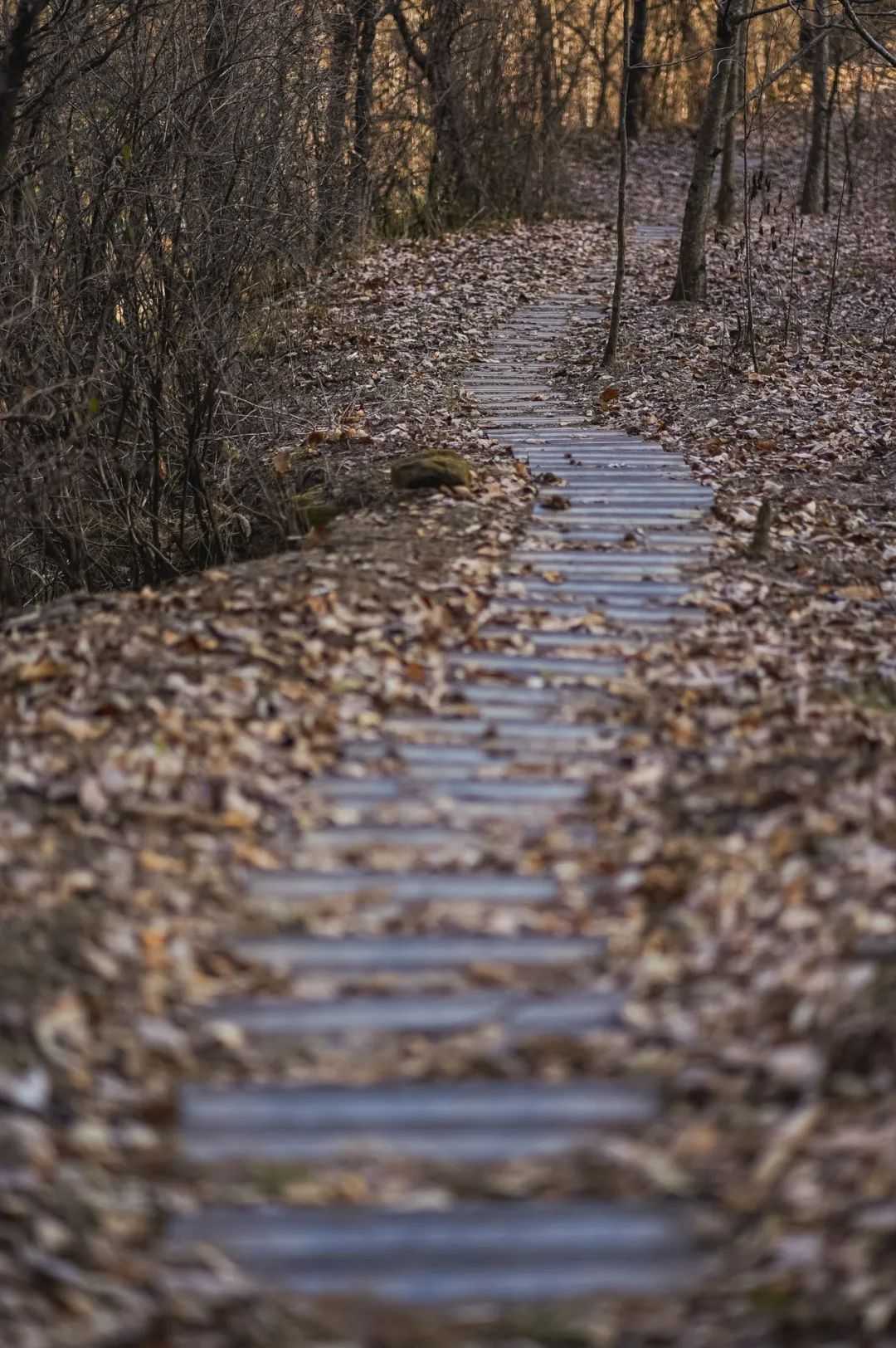 在漢中，這定是您向往的冬日生活！