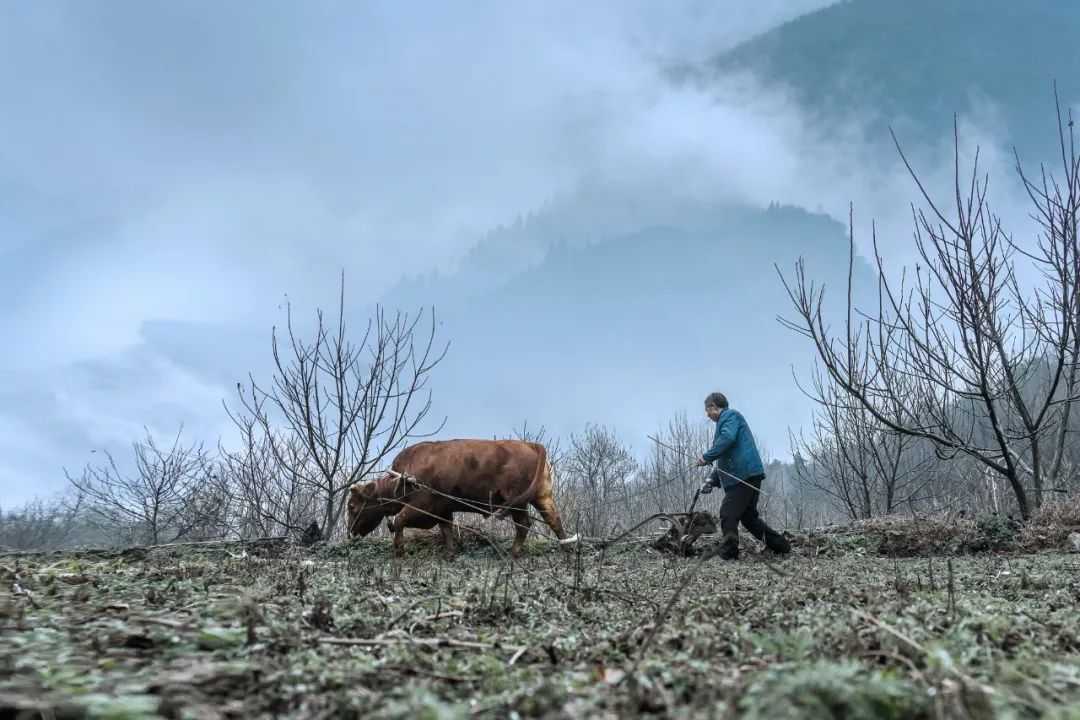 在漢中，這定是您向往的冬日生活！