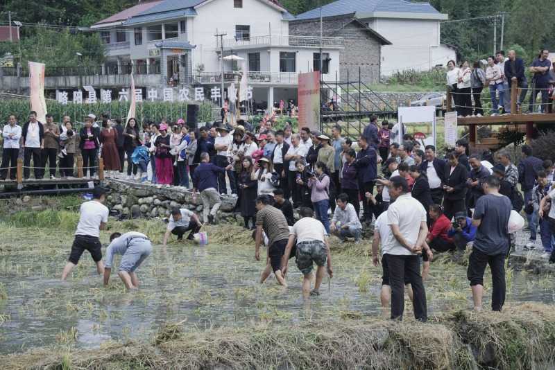 慶豐收，促和美 | 略陽縣第六屆中國(guó)農(nóng)民豐收節(jié)開幕