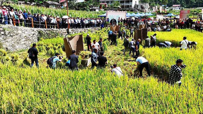 慶豐收，促和美|略陽縣第六屆中國(guó)農(nóng)民豐收節(jié)開幕