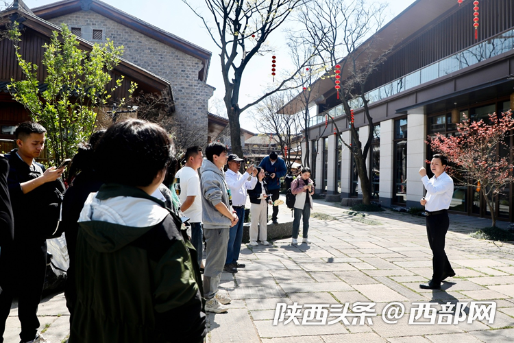 生態(tài)高顏值·發(fā)展高質(zhì)量｜油菜花、牡丹花、黑稻田 漢中洋縣有機(jī)產(chǎn)業(yè)有自己的“三原色”