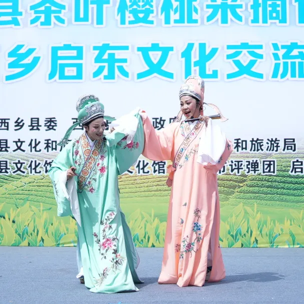 西鄉縣舉行2025茶葉櫻桃采摘體驗活動暨西鄉—啟東文化交流活動