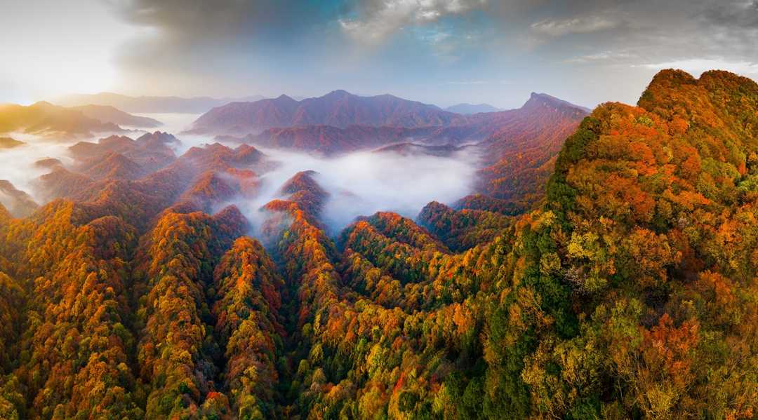 光霧山國家5A級旅游景區駐漢中接待中心正式揭牌