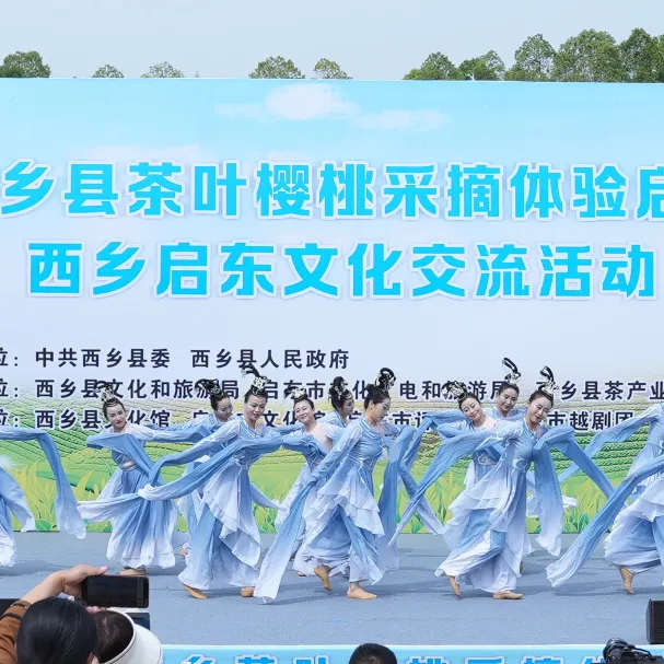 西鄉縣舉行2025茶葉櫻桃采摘體驗活動暨西鄉—啟東文化交流活動
