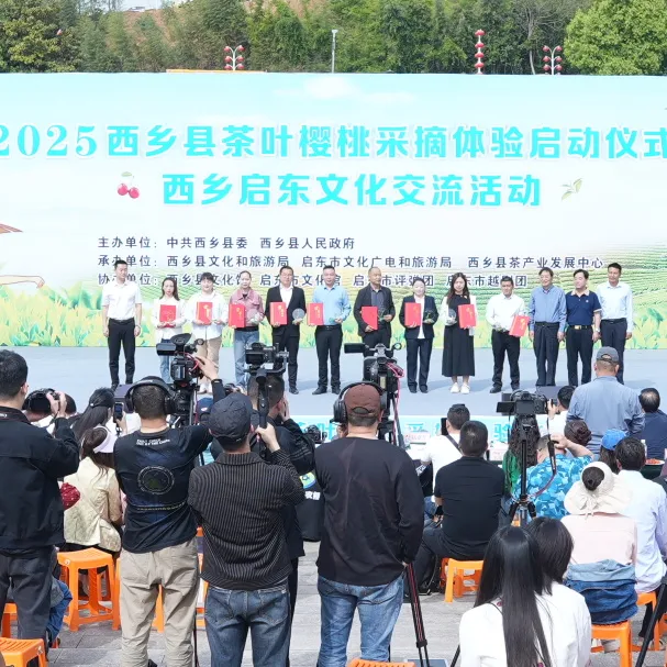 西鄉縣舉行2025茶葉櫻桃采摘體驗活動暨西鄉—啟東文化交流活動