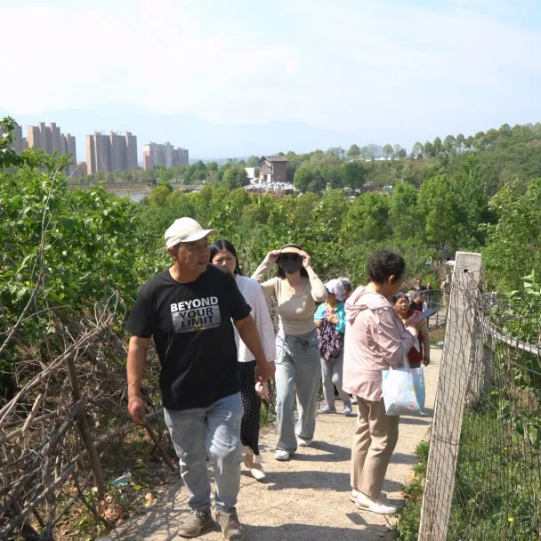 西鄉縣舉行2025茶葉櫻桃采摘體驗活動暨西鄉—啟東文化交流活動