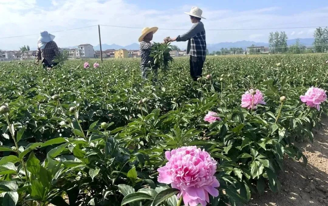 漢中這些地方，藏著令人向往的滿分初夏時光！