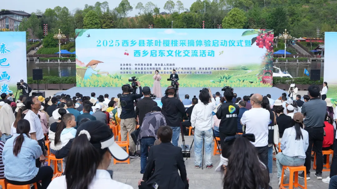 西鄉縣舉行2025茶葉櫻桃采摘體驗活動暨西鄉—啟東文化交流活動