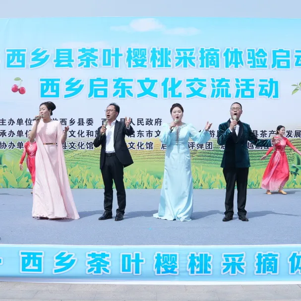 西鄉縣舉行2025茶葉櫻桃采摘體驗活動暨西鄉—啟東文化交流活動